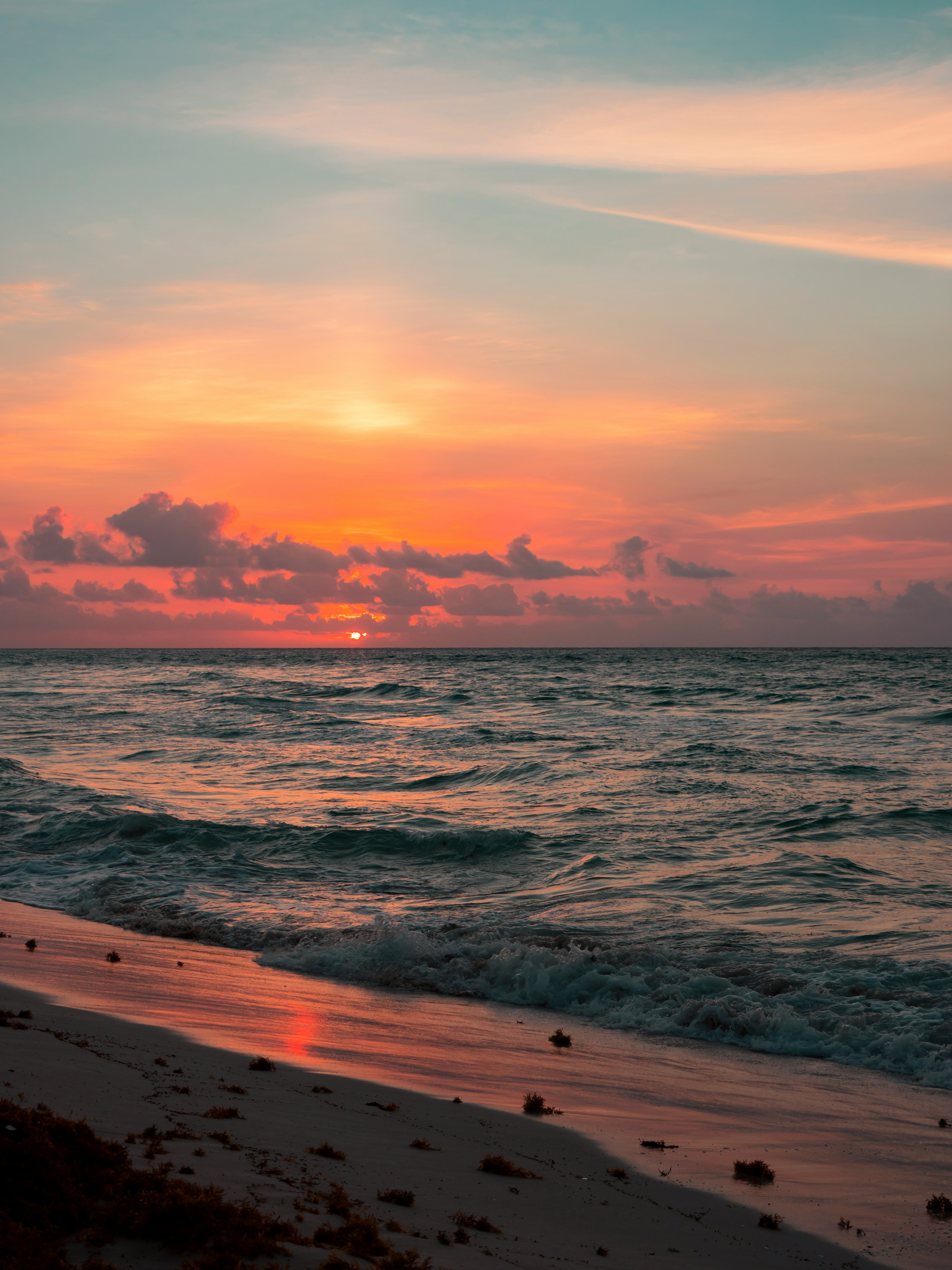 shore near ocean at golden hour